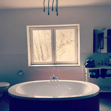 “best View” Dachgeschosswohnung In Sigismund * Bad Schandau