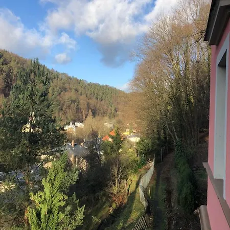 “best View” Dachgeschosswohnung In Sigismund * Bad Schandau